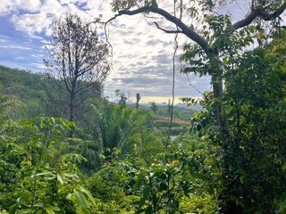 For sale land in Takua Thung, Phang Nga