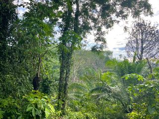 For sale land in Takua Thung, Phang Nga
