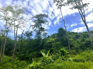 For sale land in Takua Thung, Phang Nga