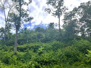 For sale land in Takua Thung, Phang Nga