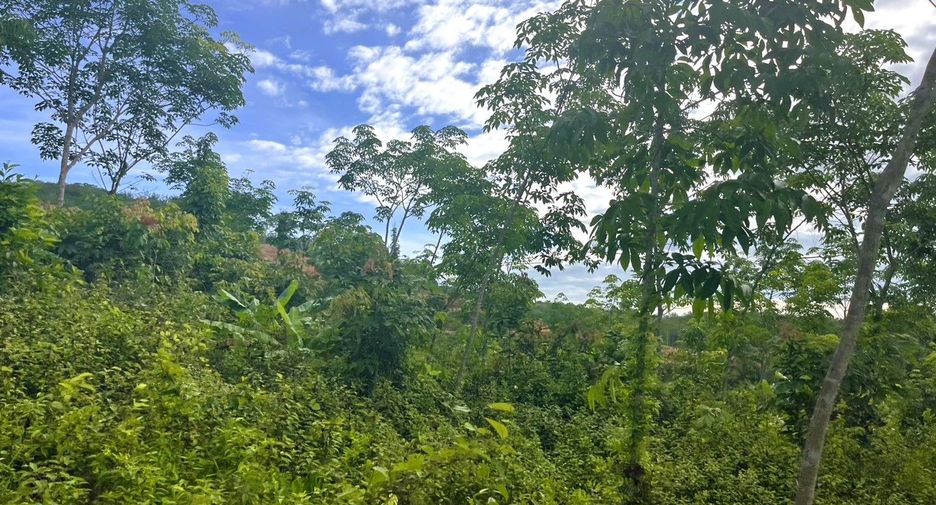 À vendre terrain à Takua Thung, Phang Nga