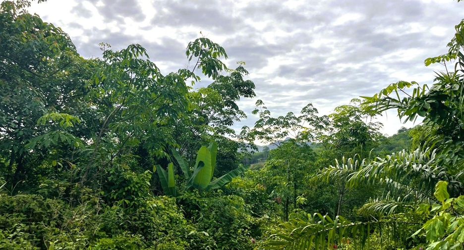 À vendre terrain à Takua Thung, Phang Nga