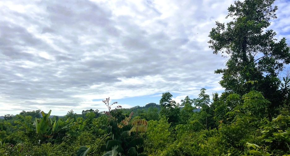 À vendre terrain à Takua Thung, Phang Nga