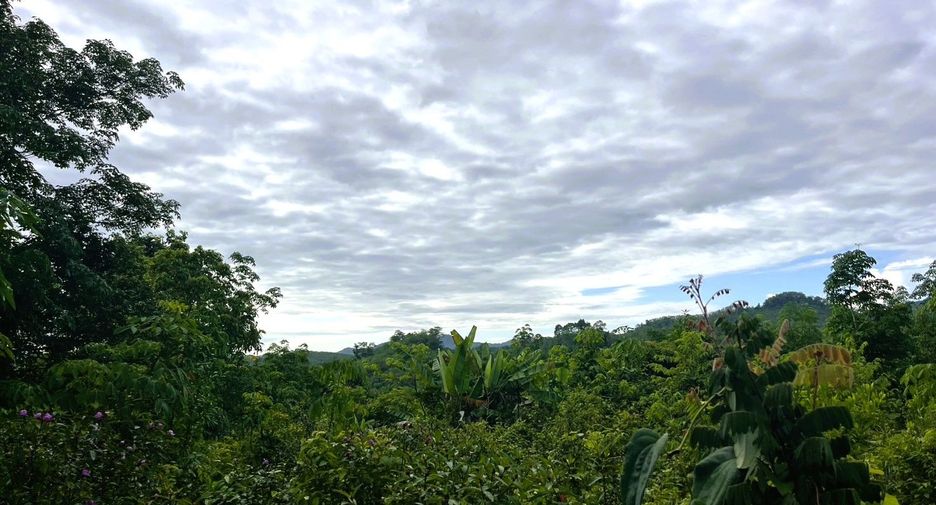 À vendre terrain à Takua Thung, Phang Nga