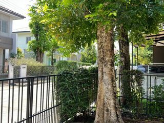 For rent 3 bedrooms house in Mueang Chiang Mai, Chiang Mai