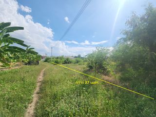 For sale land in Mueang Nakhon Pathom, Nakhon Pathom