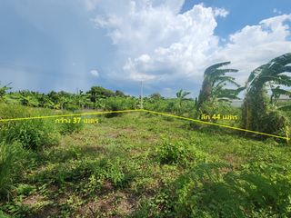 For sale land in Mueang Nakhon Pathom, Nakhon Pathom