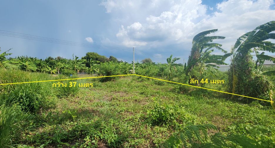 出售 土地 在 Mueang Nakhon Pathom, Nakhon Pathom