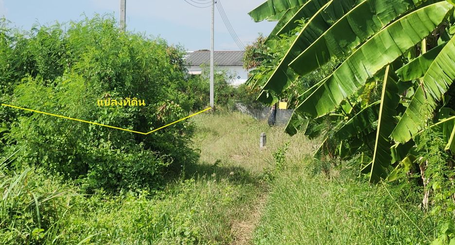 出售 土地 在 Mueang Nakhon Pathom, Nakhon Pathom
