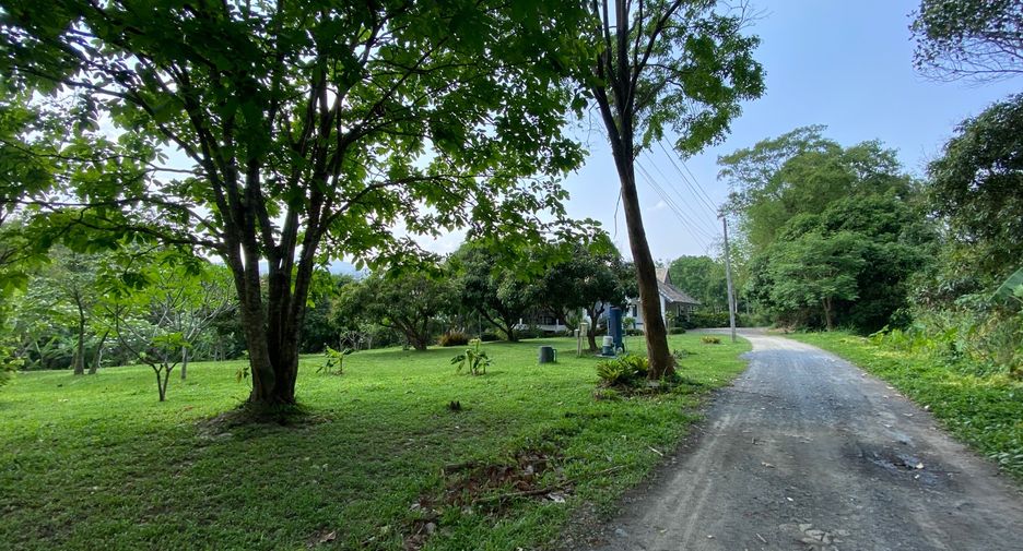 ขาย 2 ห้องนอน บ้านเดี่ยว ใน แม่ริม, เชียงใหม่