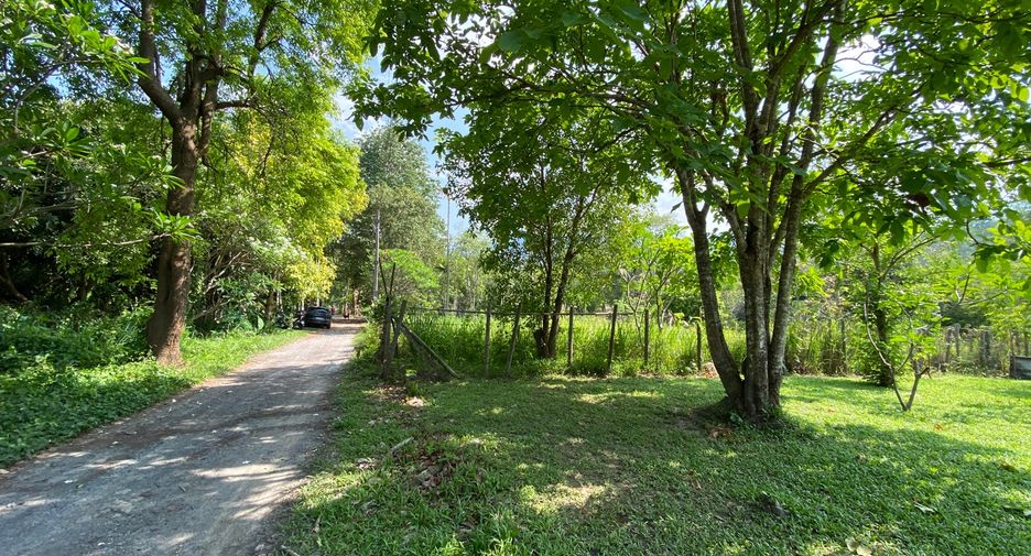 ขาย 2 ห้องนอน บ้านเดี่ยว ใน แม่ริม, เชียงใหม่