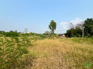For rent land in San Kamphaeng, Chiang Mai