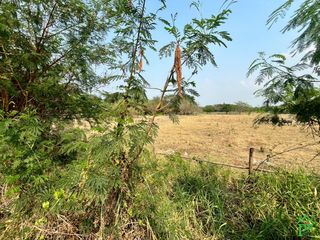 For rent land in San Kamphaeng, Chiang Mai