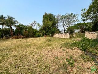 For rent land in San Kamphaeng, Chiang Mai