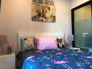 For Rent 1 Bedroom Condo In Mueang Chiang Mai