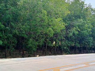 For sale land in Nikhom Phatthana, Rayong
