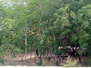 For sale land in Nikhom Phatthana, Rayong