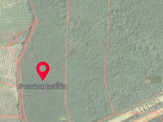 For sale land in Mueang Rayong, Rayong