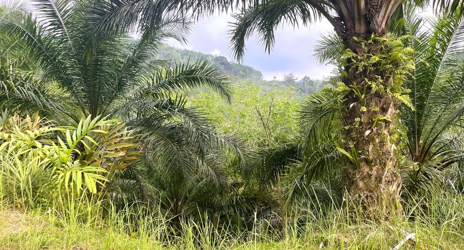 À vendre terrain à Thai Mueang, Phang Nga