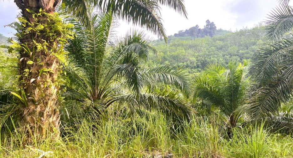 À vendre terrain à Thai Mueang, Phang Nga
