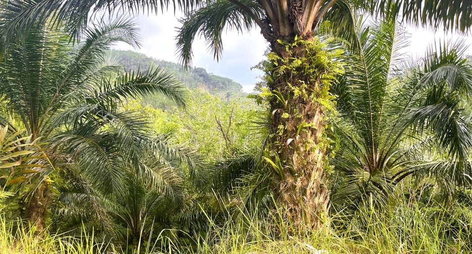 À vendre terrain à Thai Mueang, Phang Nga