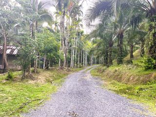 For sale land in Thai Mueang, Phang Nga