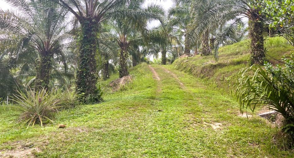 À vendre terrain à Thai Mueang, Phang Nga