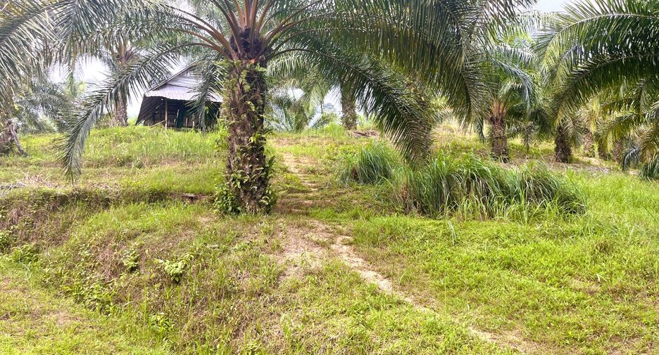 À vendre terrain à Thai Mueang, Phang Nga