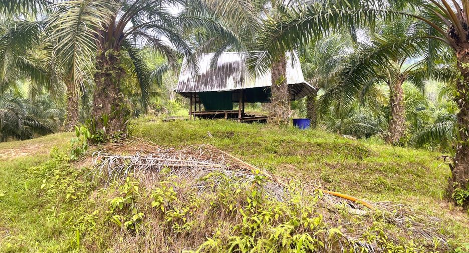 À vendre terrain à Thai Mueang, Phang Nga