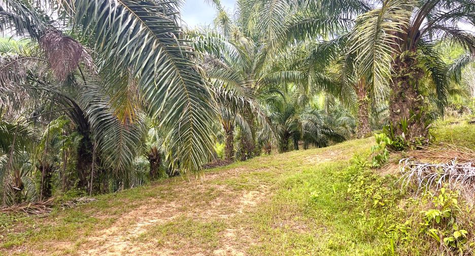 À vendre terrain à Thai Mueang, Phang Nga