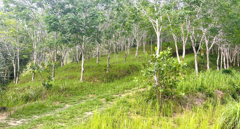 À vendre terrain à Thai Mueang, Phang Nga