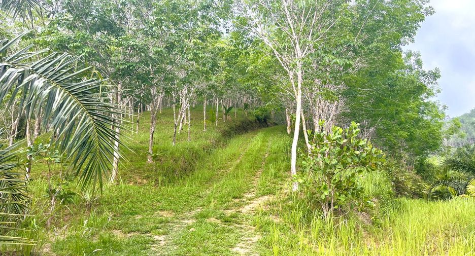 À vendre terrain à Thai Mueang, Phang Nga