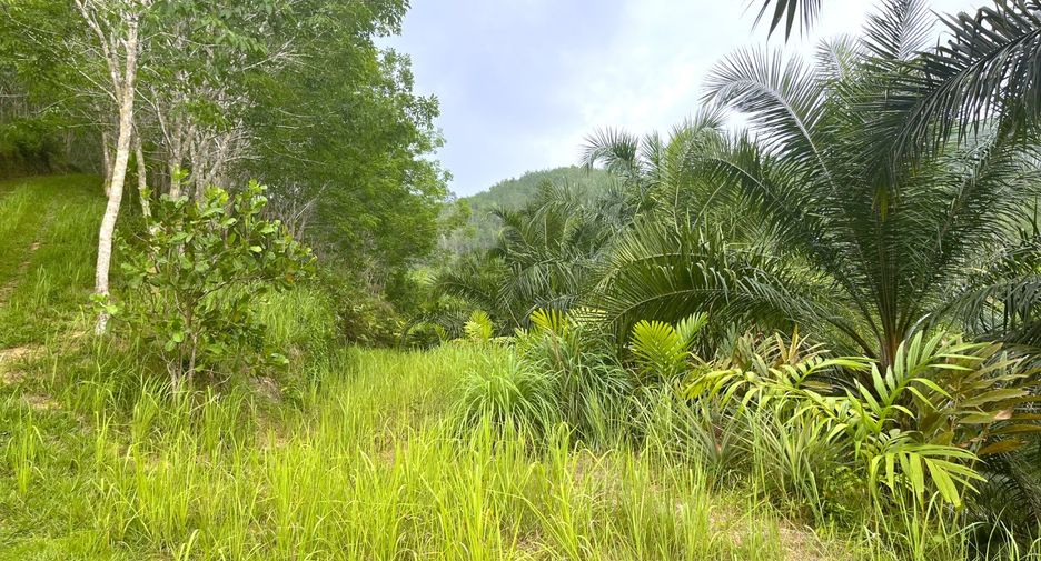 À vendre terrain à Thai Mueang, Phang Nga