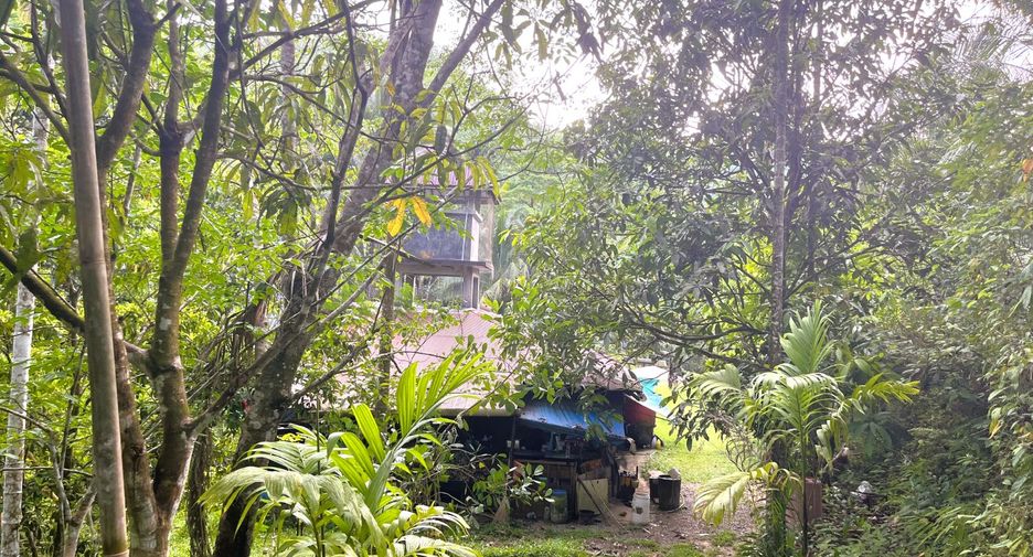 À vendre terrain à Thai Mueang, Phang Nga