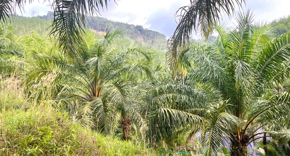 À vendre terrain à Thai Mueang, Phang Nga