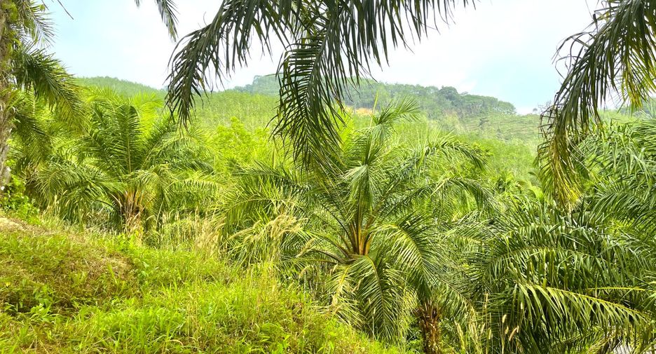 À vendre terrain à Thai Mueang, Phang Nga