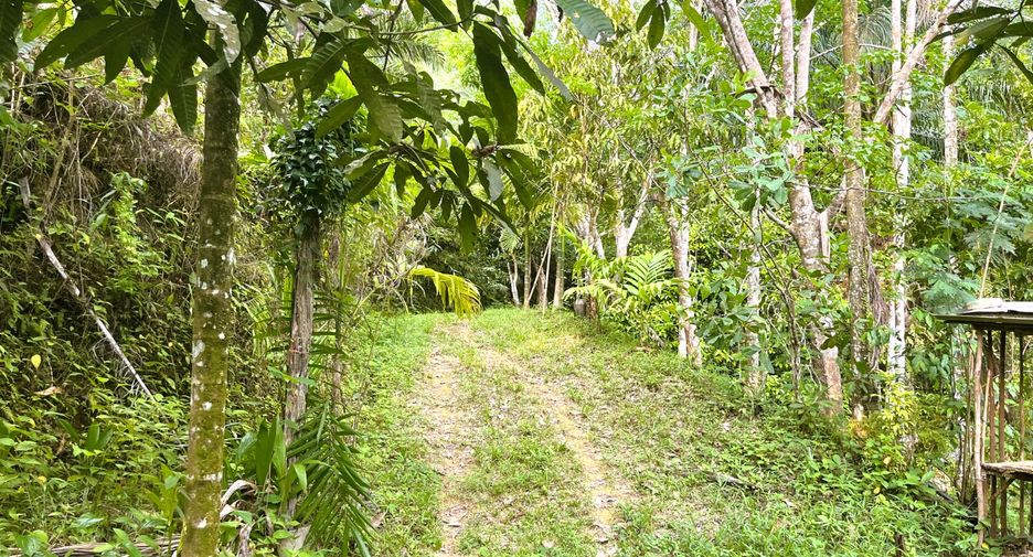À vendre terrain à Thai Mueang, Phang Nga