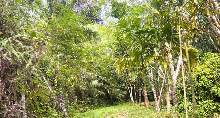 À vendre terrain à Thai Mueang, Phang Nga