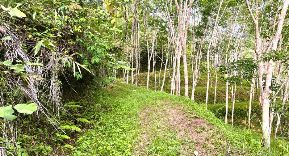 À vendre terrain à Thai Mueang, Phang Nga