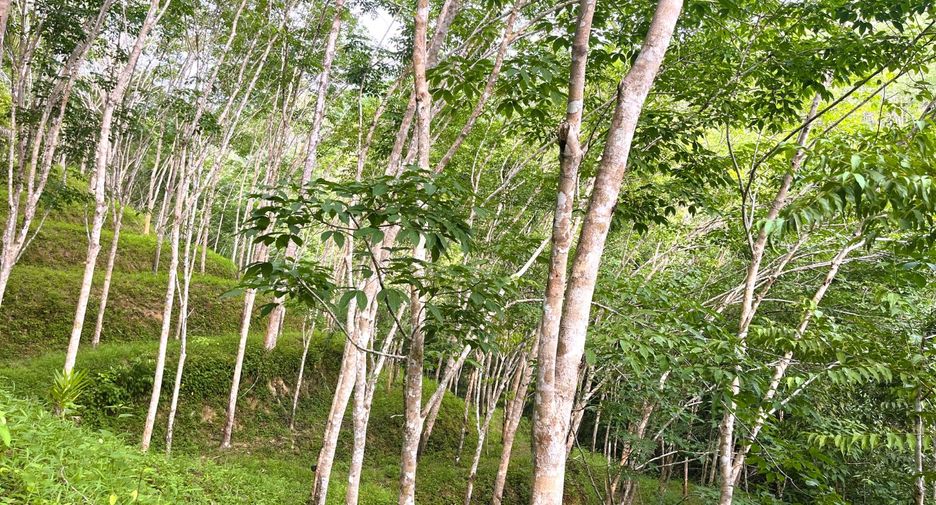 À vendre terrain à Thai Mueang, Phang Nga