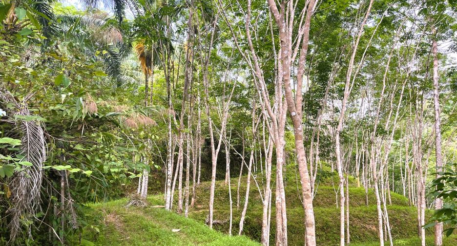 À vendre terrain à Thai Mueang, Phang Nga