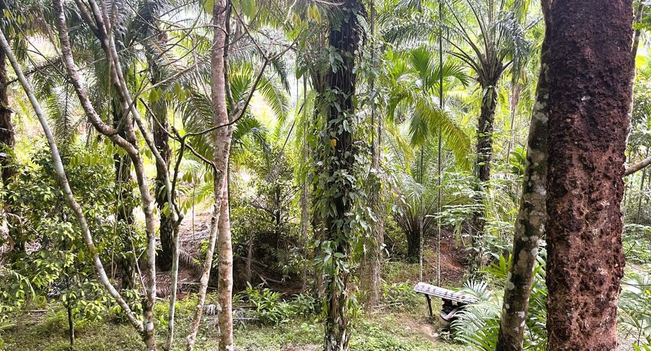 À vendre terrain à Thai Mueang, Phang Nga