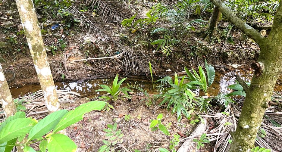 À vendre terrain à Thai Mueang, Phang Nga