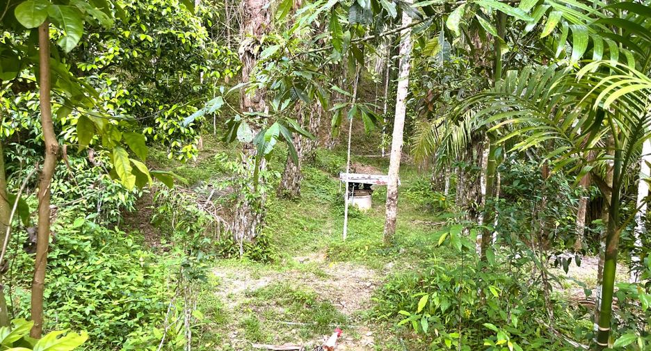 À vendre terrain à Thai Mueang, Phang Nga