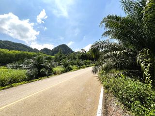 ขาย ที่ดิน ใน เมืองกระบี่, กระบี่