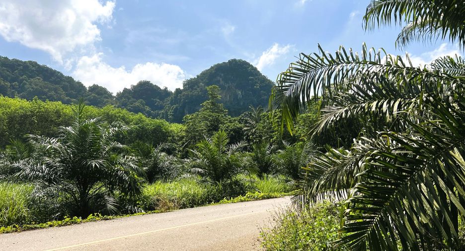 出售 土地 在 Mueang Krabi, Krabi