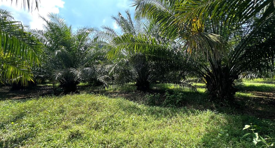 出售 土地 在 Mueang Krabi, Krabi