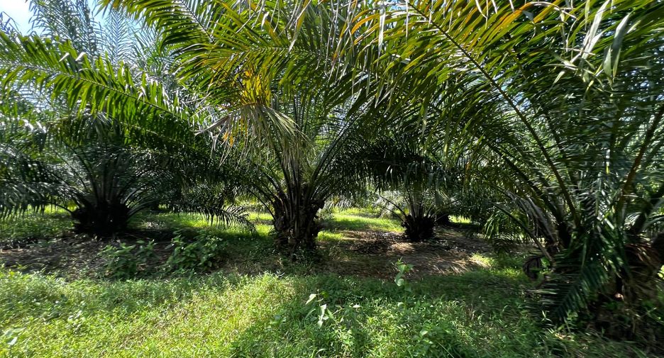 出售 土地 在 Mueang Krabi, Krabi