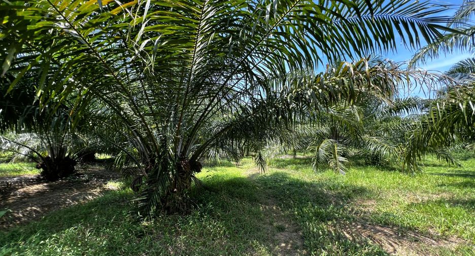 出售 土地 在 Mueang Krabi, Krabi