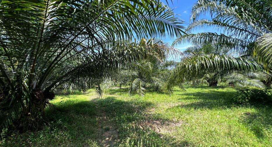 出售 土地 在 Mueang Krabi, Krabi